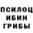 Галлюциногенные грибы прущие грибы IChe