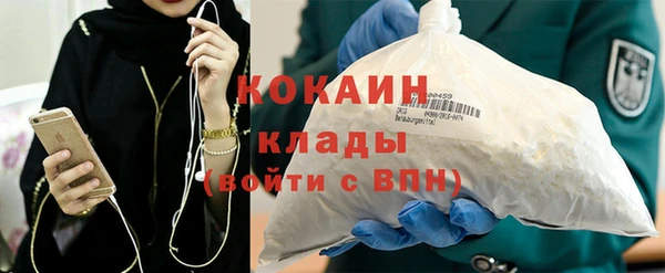 шишки Бронницы