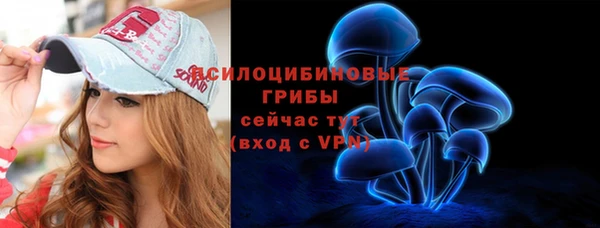 шишки Бронницы