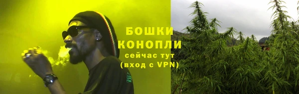 шишки Бронницы
