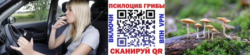 Галлюциногенные грибы прущие грибы  Шарыпово 